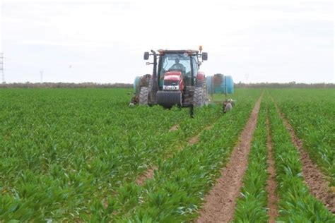 Uso De Fertilizantes Promueve Recuperación De Suelos Agrícolas