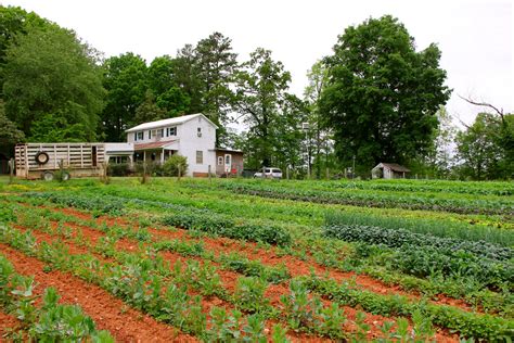 Farm Internships In North Carolina Beginning Farmers