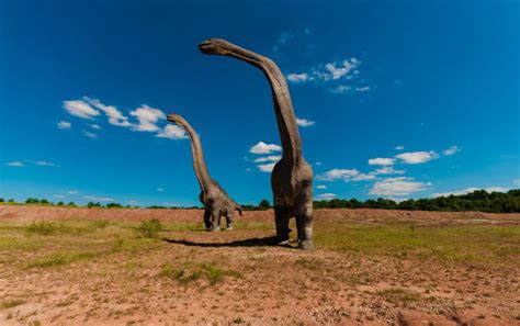 Paleontologists Recover Brachiosaurus Remains In Southern Utah The