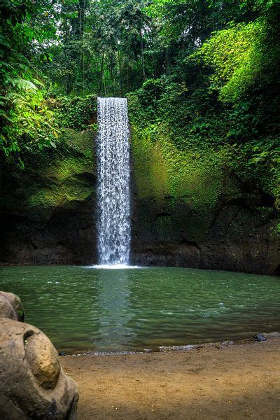 Tibumana Waterval Bij Ubud Op Bali Tropische Planten Van Fotos By Jan