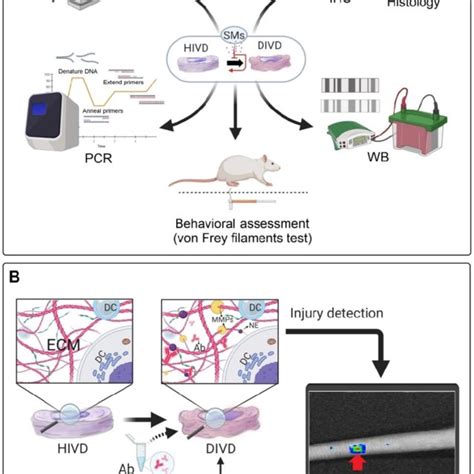 Conventional Diagnostic Approaches And A Proposed Diagnostic Method For