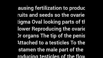 Ratchet Freestyle Xvideos