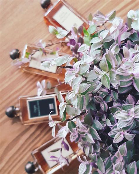 A La Nuit Serge Lutens Parfum - ein es Parfum für Frauen und Männer 2000