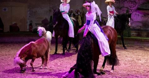 Nouveau Spectacle Aux Grandes Curies De Chantilly Du Juillet Au