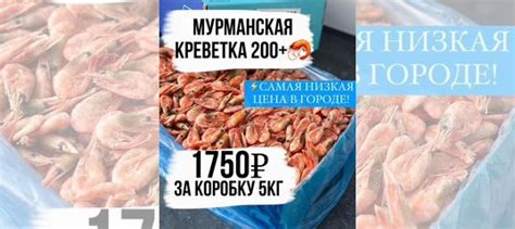 Креветка свежая 200+ Мурманск купить в Краснодаре | Товары для дома и ...