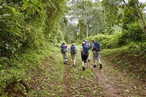 Kilimanjaro Day Hike Marangu Route Join Up Safaris