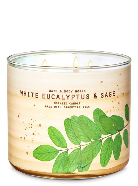 Bath Body Works White Eucalyptus Sage 3 Wick Candle Reviews 2022