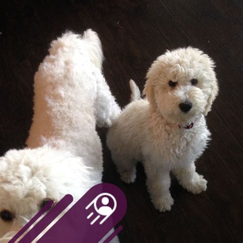 r kelly net worth 2010 4