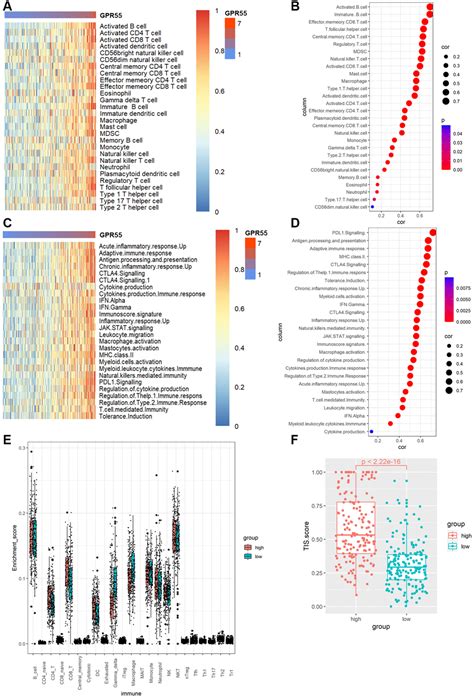 A Comprehensive Survival And Prognosis Analysis Of Gpr Expression In