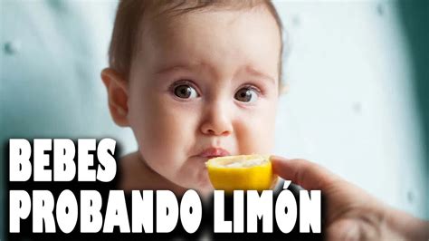 Bebes Probando Lim N Youtube