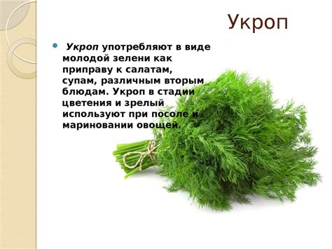 Плодоовощная продукция - презентация онлайн