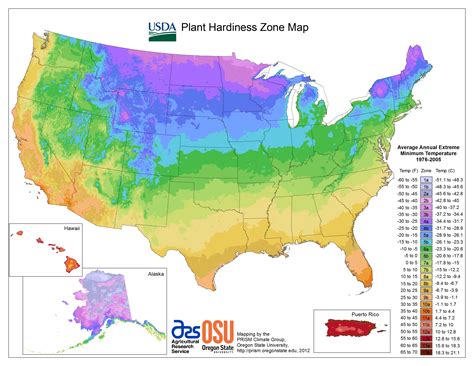The Latest USDA Plant Hardiness Zone Map and How It Works | HGTV