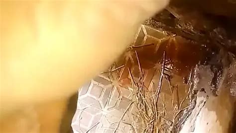 Hot Collage Boy Ravi Masterbution And Pissing In Bathroom Xhamster