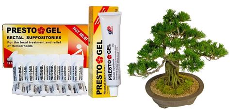 Presto Gel - Điều trị bệnh trĩ - PRESTO GEL - CO BÚI TRĨ, KHÔNG CÒN ...