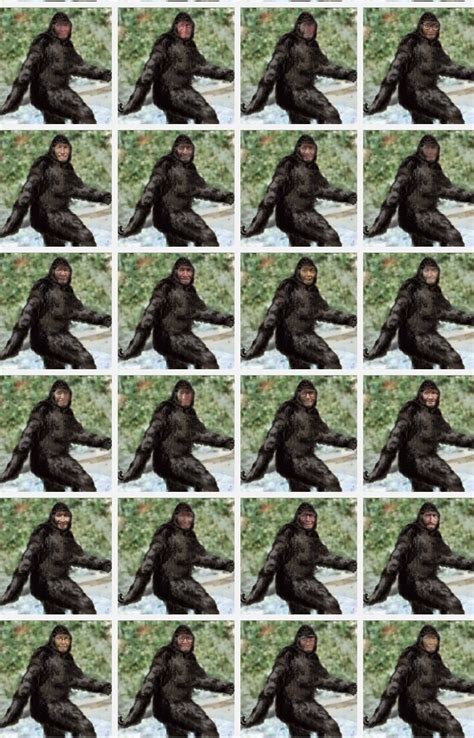 Bigfoot Found In The Redwoods