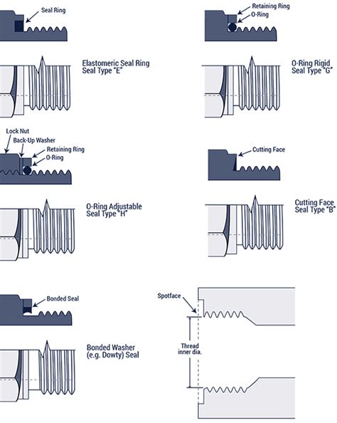 British Standard Pipe Parallel Port Bspp Port Custom Hose