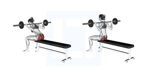 Barbell Kas Glute Bridge - Guide, Benefits, and Form