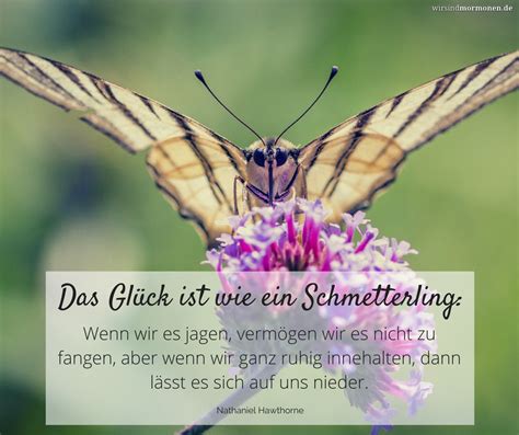 Das Glück ist wie ein Schmetterling