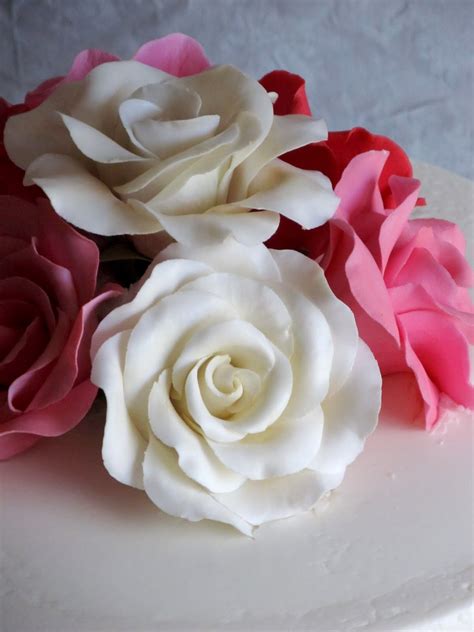 Simple Rose Cake – Renee Conner Cake Design