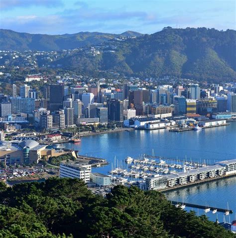 10 Best Budget New Zealand Tours & Trips 2025/2026 - TourRadar