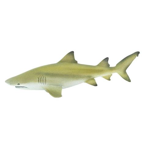 Lemon Shark Toy | Sea Life | Safari Ltd®