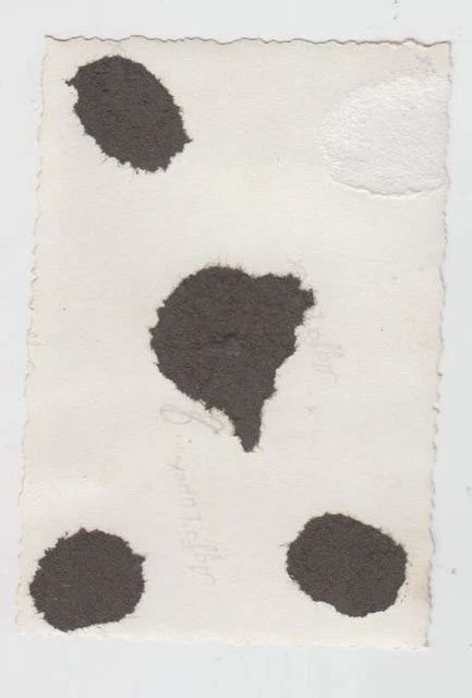 Foto Wk Insel R Gen J Ngling Halb Nackt Nude Gay Strand Kurze Hose