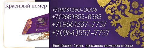 Оператор безлимит 2025 | ВКонтакте