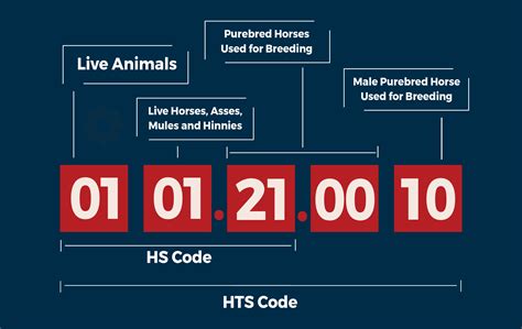 Explaining The Difference Between HTS Codes And HS Codes USA Customs