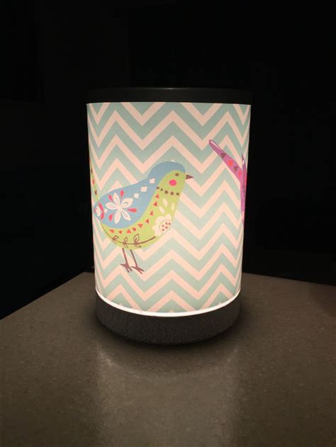 A Funky Fusion Of Chevron Stripes And Folk Art Birds Beam From An