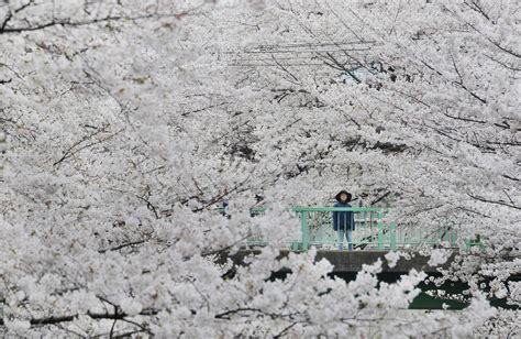 Весна в фотографиях | MirVKartinkah.ru