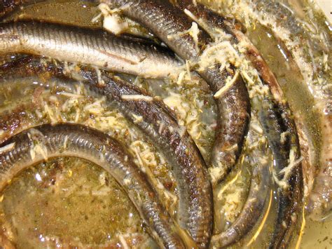 Минога Рыба Рецепты Приготовления С Фото – Telegraph