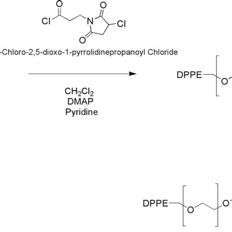 chemical reactions  maleimide functionalization  bsa conjugation