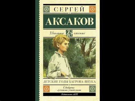 "ДЕТСКИЕ ГОДЫ БАГРОВА-ВНУКА" Сергей Аксаков краткое содержание Baby ...
