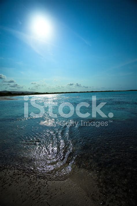 shining sun stock photo royalty  images freeimages