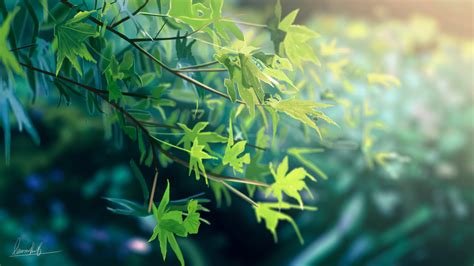 Download miễn phí 500 Background anime nature Full HD chất lượng cao