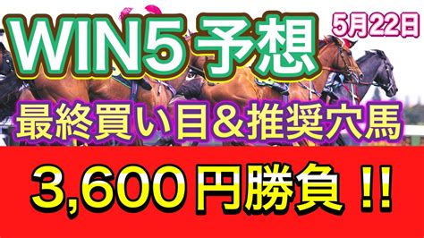 【win5予想】最終買い目and推奨穴馬‼️3600円勝負‼️ Youtube