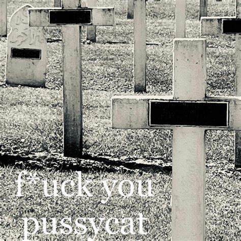 Fuck You Pussycat Single By The Black B Side Pussies Spotify