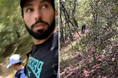 Poncho Denigris Y Su Hijo Son Perseguidos Por Un Oso