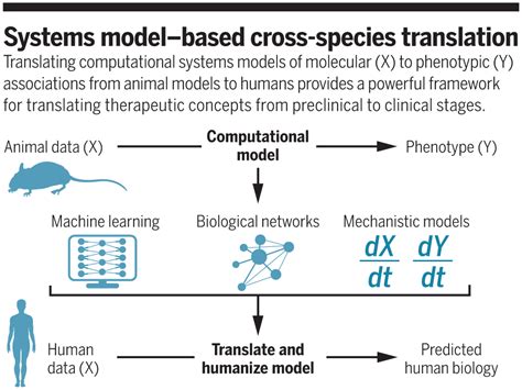 Translating Preclinical Models To Humans Science