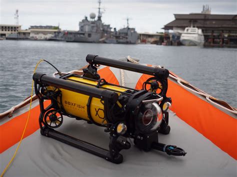 Boxfish Alpha Rov