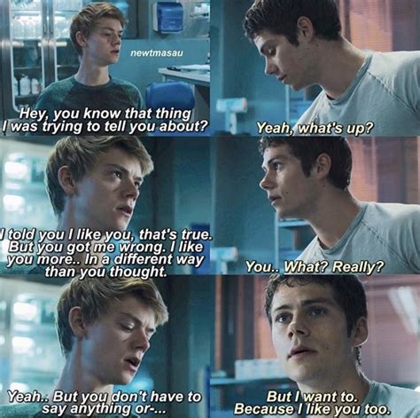 Pin By Elisa Romei On Maze Runner In 2024 Maze Runner Funny Maze