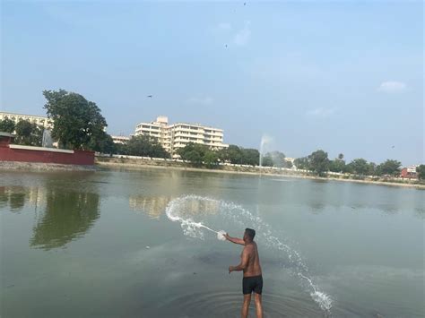 Dead Fishes In Rajindra Lake Rejuvenation Work Completed