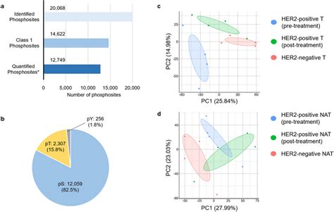 Of The Results Of Phosphoproteomic Analysis A Number Of Identified