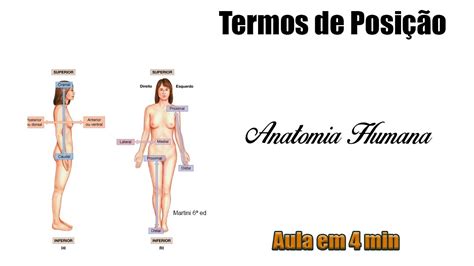 Posição Anatômica Anatomia