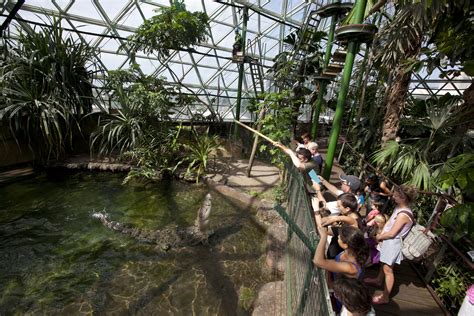 Wildlife Gallery | Cairns Zoom & Wildlife Dome