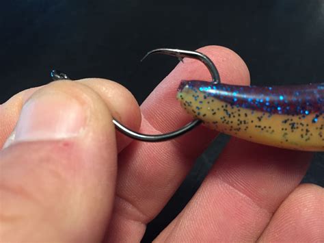 Circle Hooks And Soft Plastics Saltwater Experience Fishing