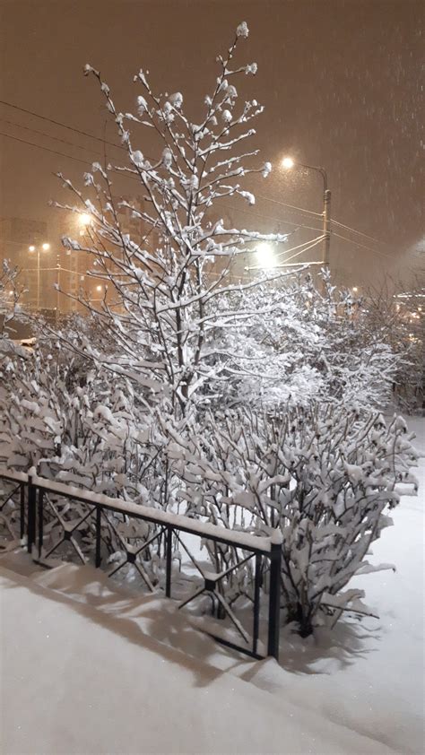 Весна... | Пикабу