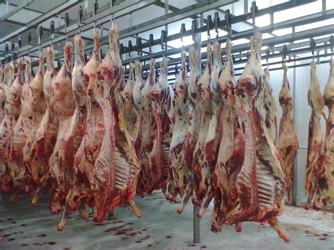 Egito Abre Mercado Para Carne Bovina Osso Do Brasil Radar364