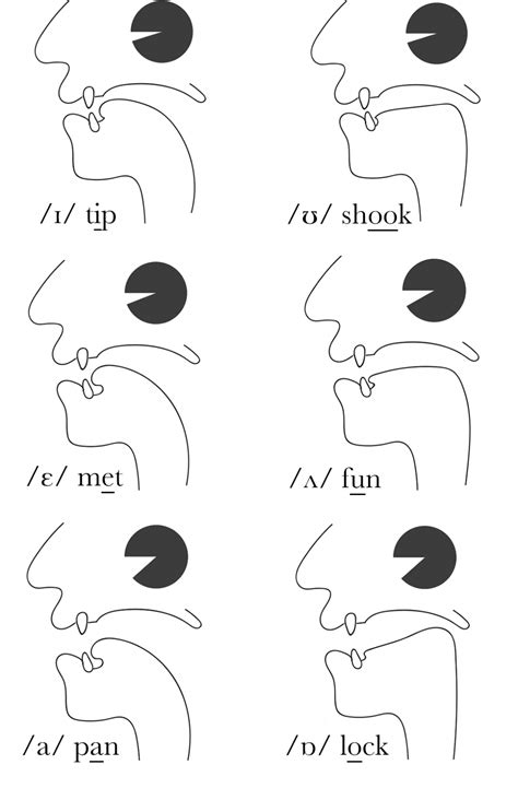 Short Vowel Sounds The Sound Of English