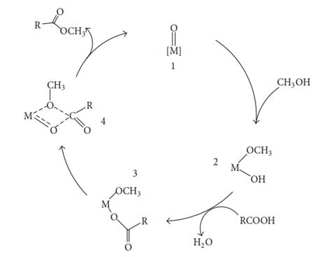 Proposed Mechanism For The Esterification Of Ffas Catalyzed By Lewis